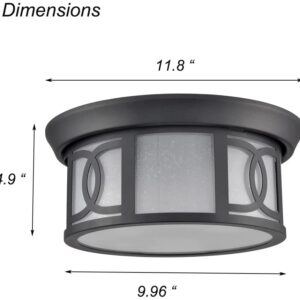 DIRYZON 2-Light Outdoor Indoor Ceiling Light Fixture Flush Mount Modern Porch Ceiling Light,Matte Black Finish with Frosted Seeded Glass