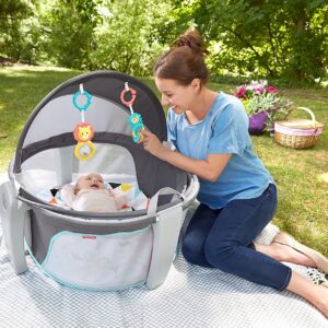 Fisher-Price On-the-Go Baby Dome